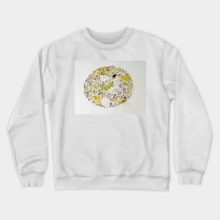 Nassulid ciliate - an unicellular ciliate that feeds on filamentous blue-green algae Crewneck Sweatshirt